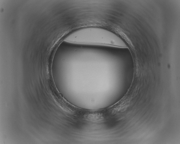 X0000072940251200607210914