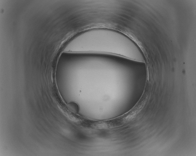 X0000072940253200607210914