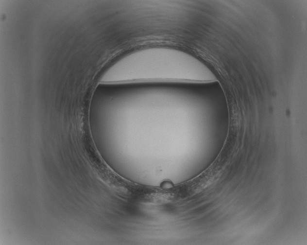 X0000072940255200607210914