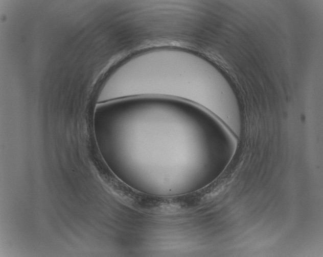 X0000072940256200607210914