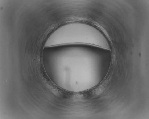 X0000072940257200607210914