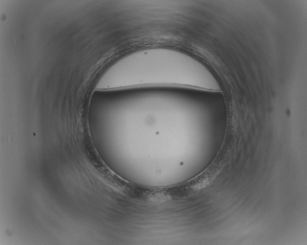 X0000072940258200607210914