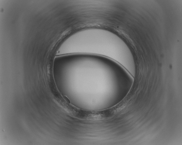 X0000072940260200607210914