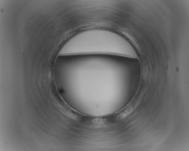 X0000072940261200607210914