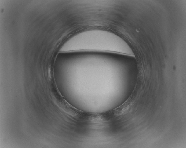 X0000072940262200607210914