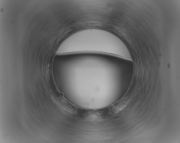 X0000072940263200607210914