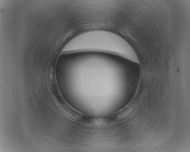 X0000072940264200607210914