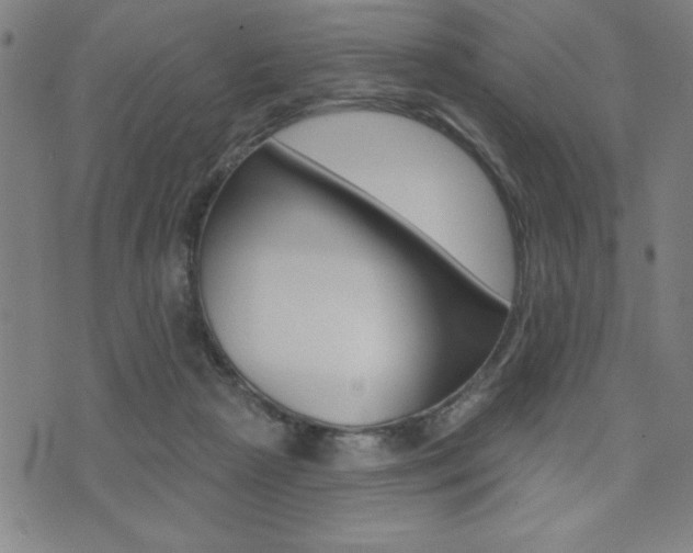 X0000072940265200607210914