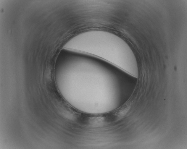 X0000072940266200607210914