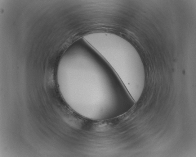 X0000072940267200607210914