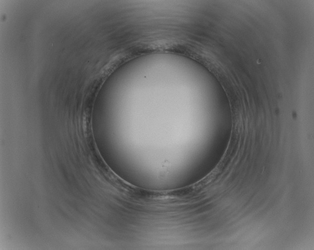 X0000072940268200607210914