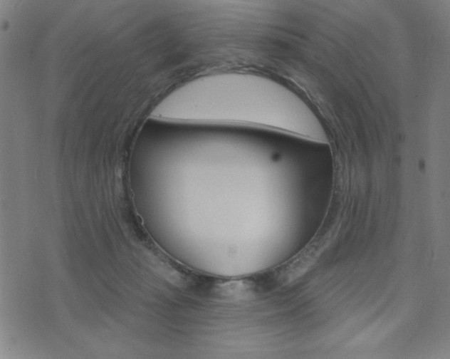 X0000072940269200607210914