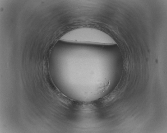 X0000072940270200607210915