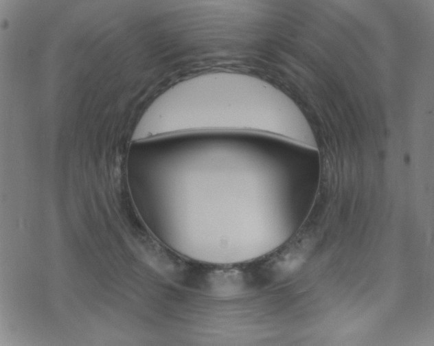 X0000072940271200607210915