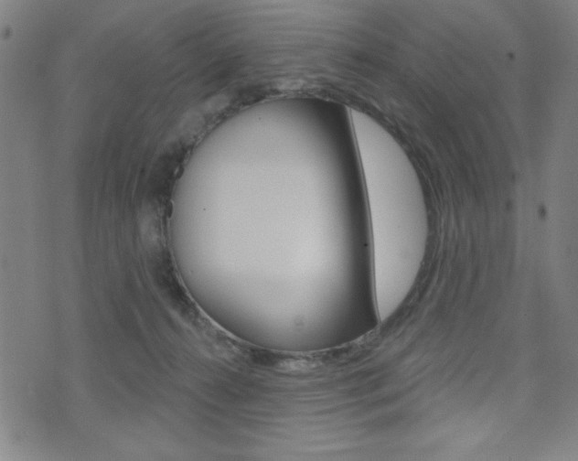 X0000072940272200607210915