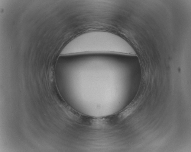 X0000072940273200607210915