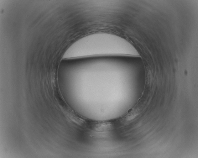 X0000072940274200607210915