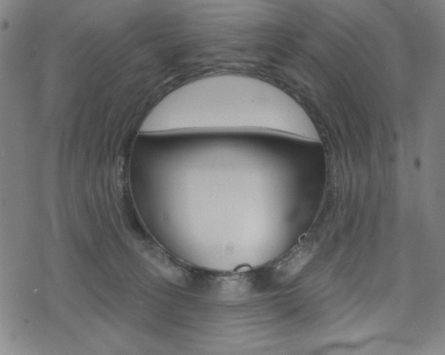 X0000072940275200607210915