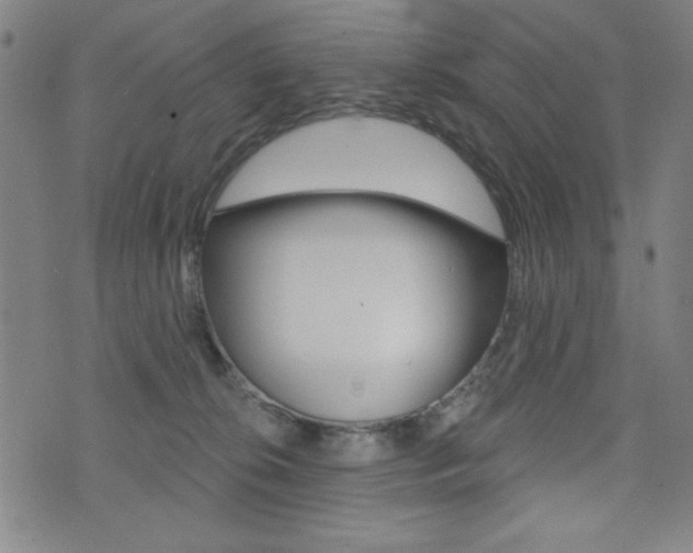 X0000072940276200607210915