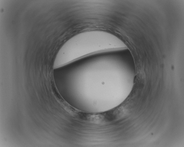 X0000072940277200607210915