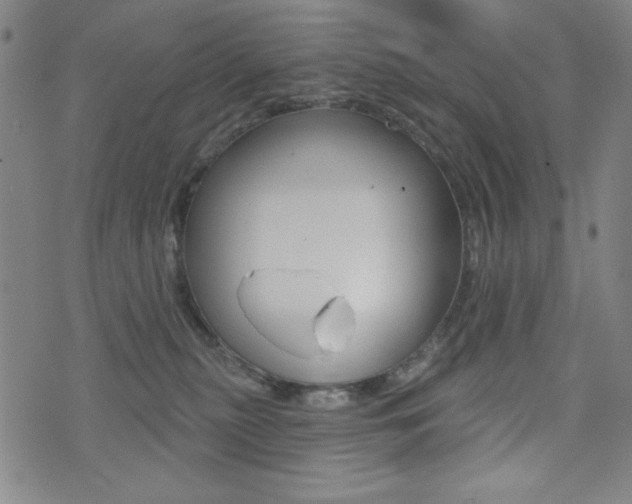 X0000072940279200607210915