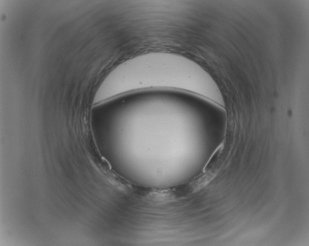 X0000072940280200607210915