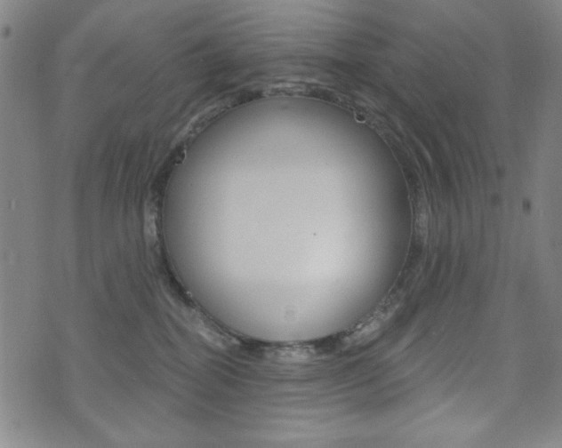 X0000072940282200607210915