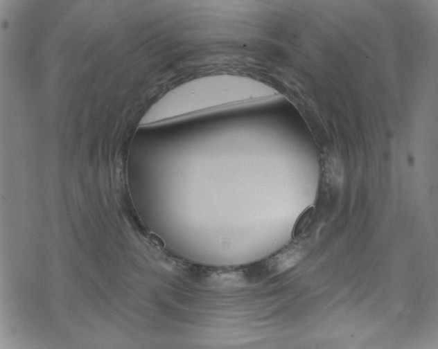 X0000072940283200607210915