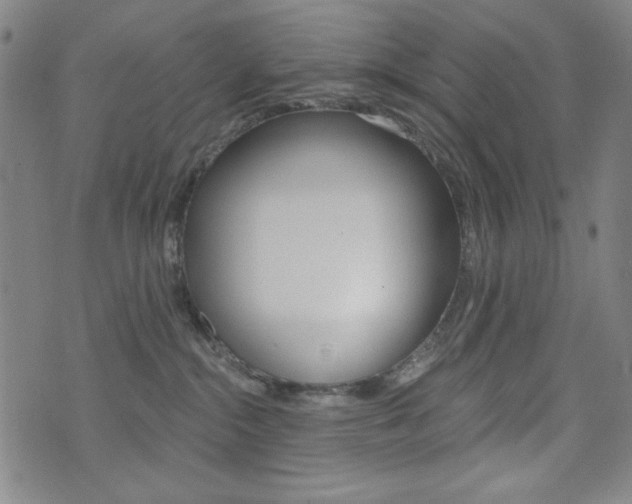 X0000072940284200607210915