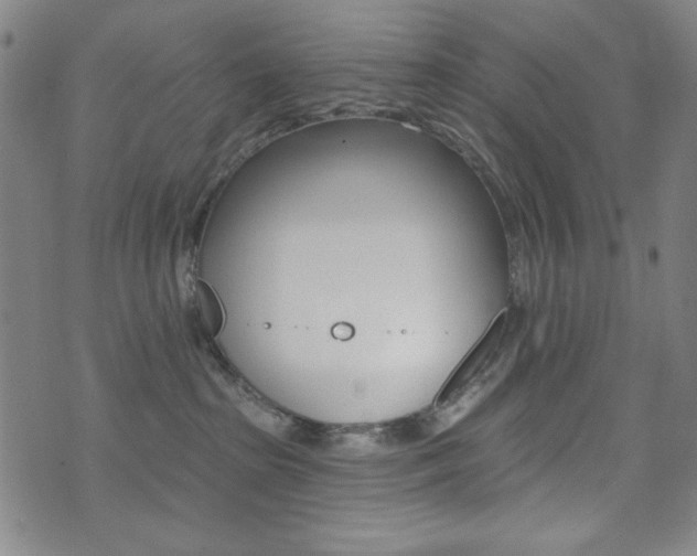 X0000072940285200607210915