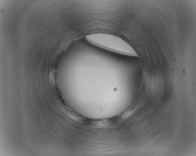 X0000072940286200607210915