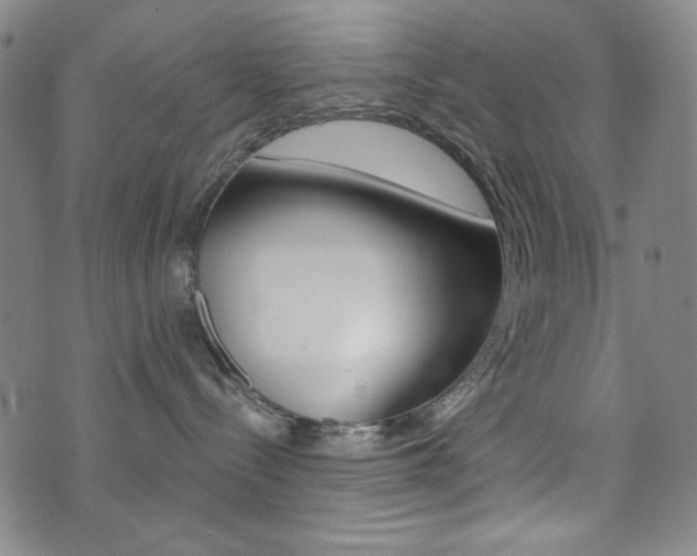 X0000072940288200607210915