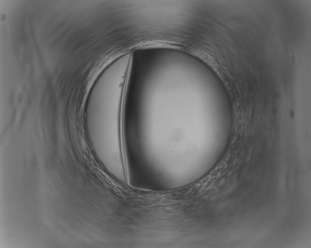 X0000072940289200607210914