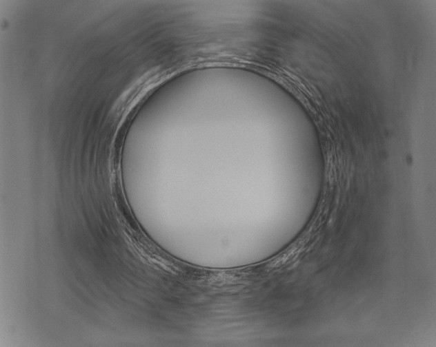 X0000072940290200607210914