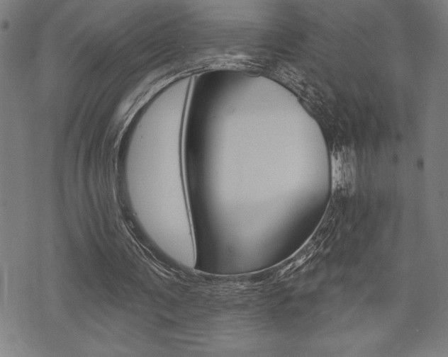 X0000072940291200607210914