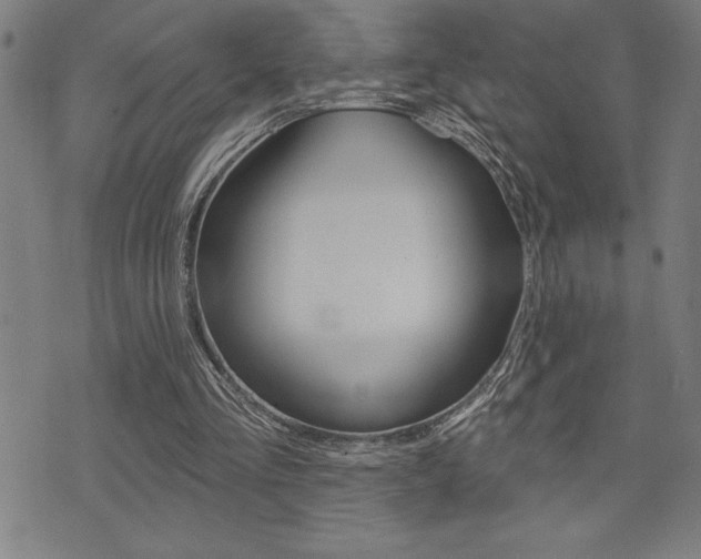 X0000072940293200607210914