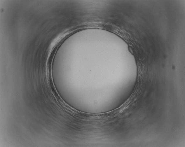 X0000072940294200607210914