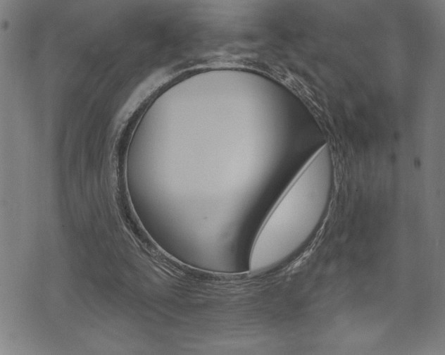 X0000072940295200607210914