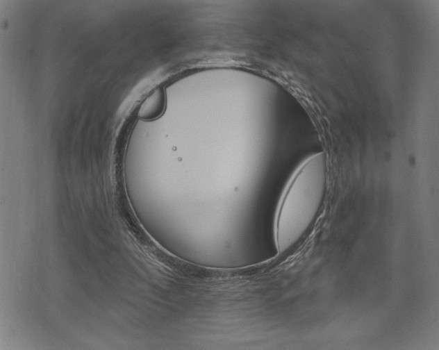 X0000072940296200607210914