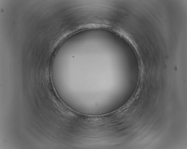 X0000072940297200607210914