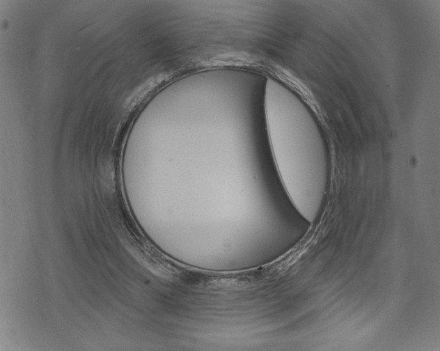 X0000072940298200607210914