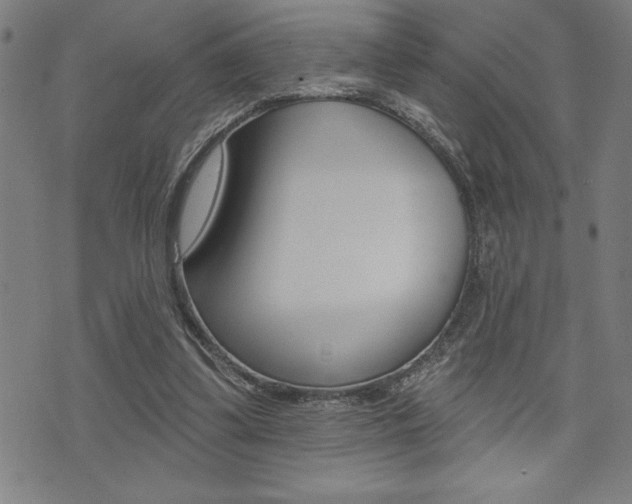 X0000072940299200607210914