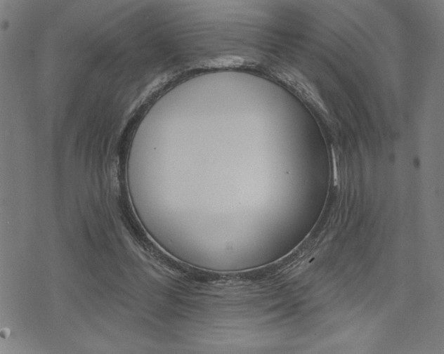 X0000072940300200607210914