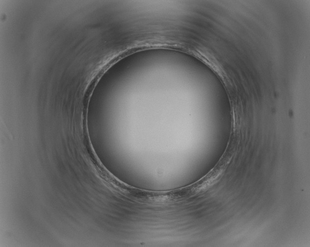 X0000072940301200607210914