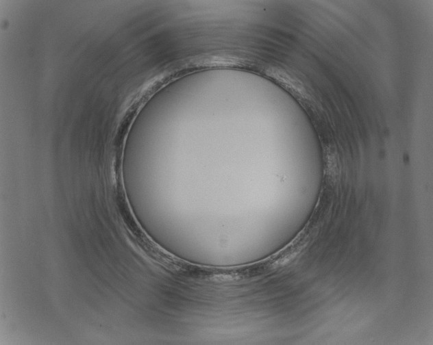 X0000072940302200607210914