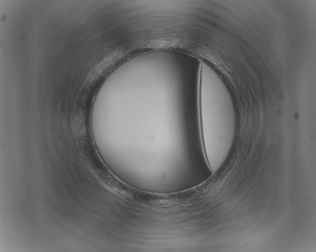 X0000072940303200607210914