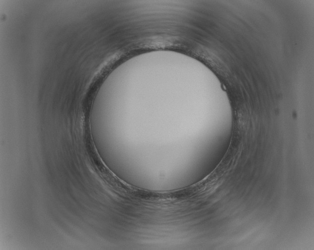 X0000072940304200607210914