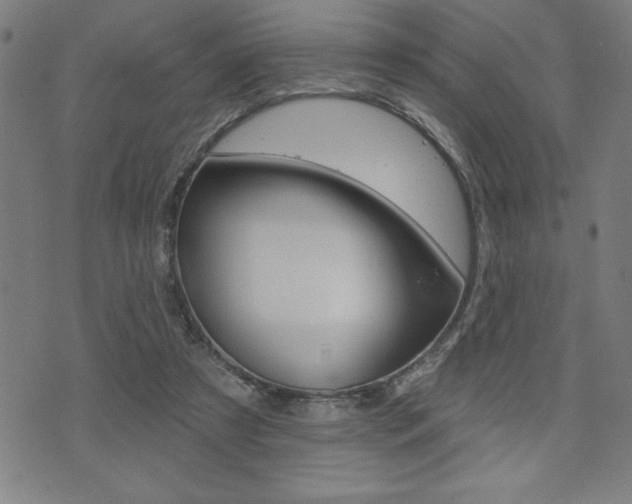 X0000072940305200607210914