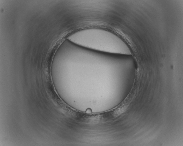 X0000072940306200607210914