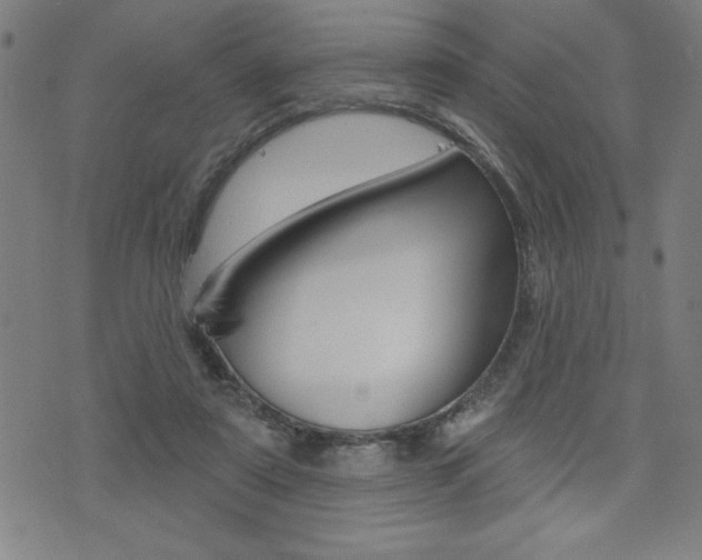 X0000072940307200607210914